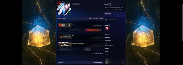11000+ hrs • 169 Twitch & Kick Drops skins • 36-51 round Drops • No VAC or server bans