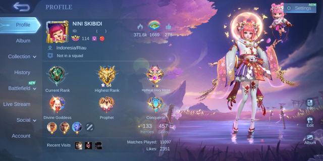 MEGA COLLECTOR IV • 2 Legendary • 14 Grand Skins • 5 Collector • 8 Luckybox